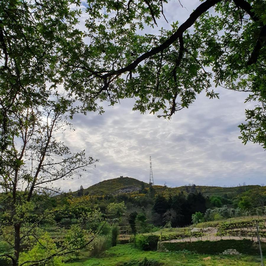 Вілла Quinta De Cerdeiro Moes Екстер'єр фото