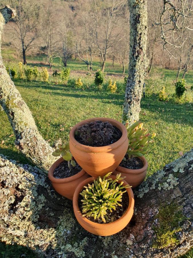 Вілла Quinta De Cerdeiro Moes Екстер'єр фото